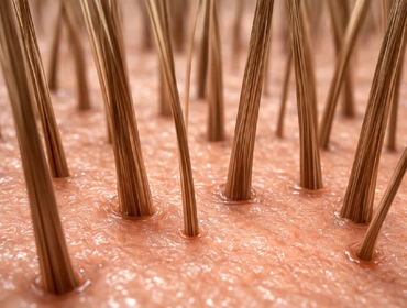 Как обрести красивые и сильные волосы: укрепляем фолликулы