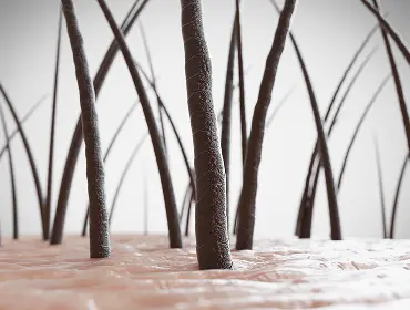 Как быстро ускорить рост волос