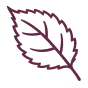 effect icon