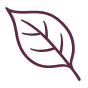 effect icon