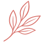 effect icon